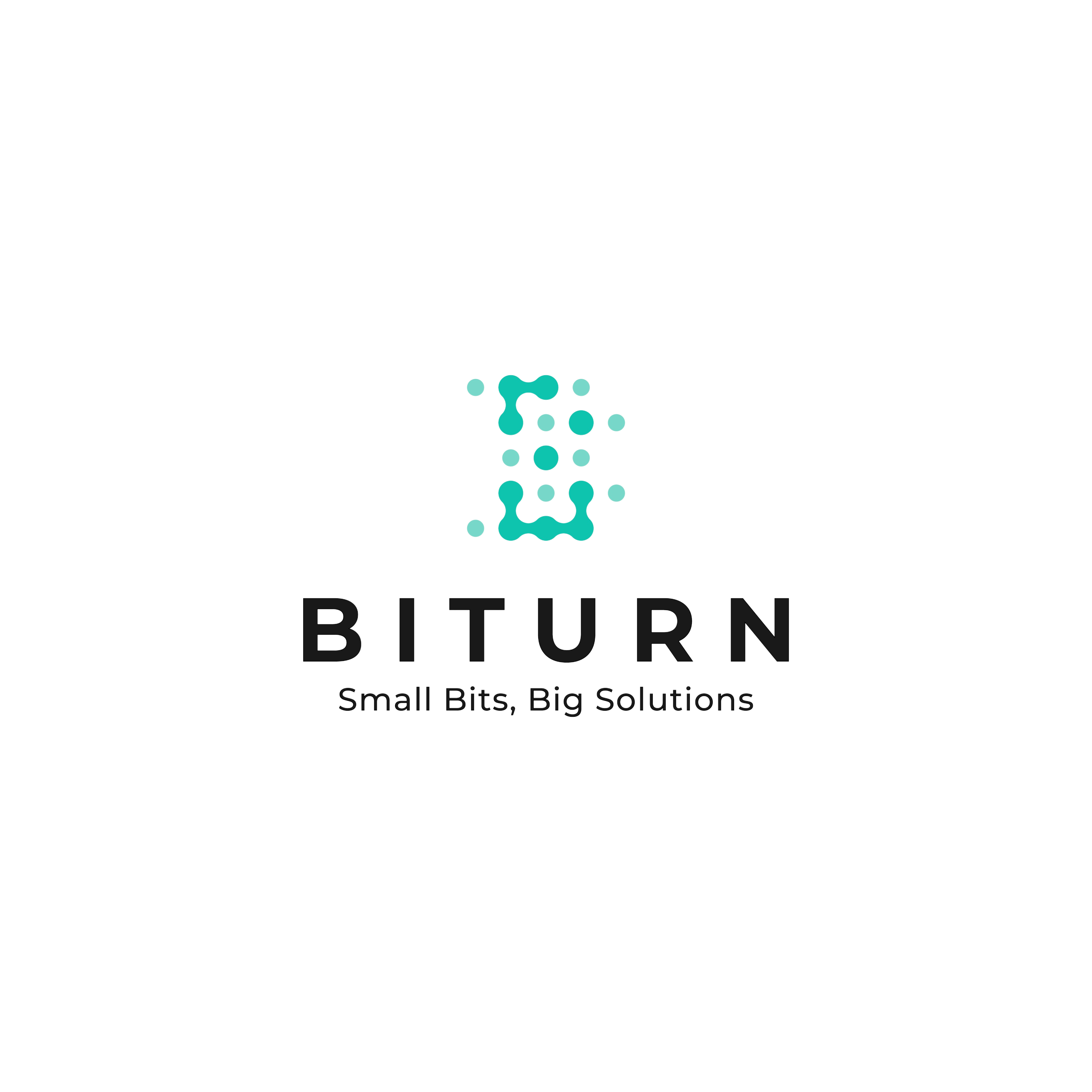 BITURN Logo